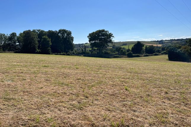 Land for sale