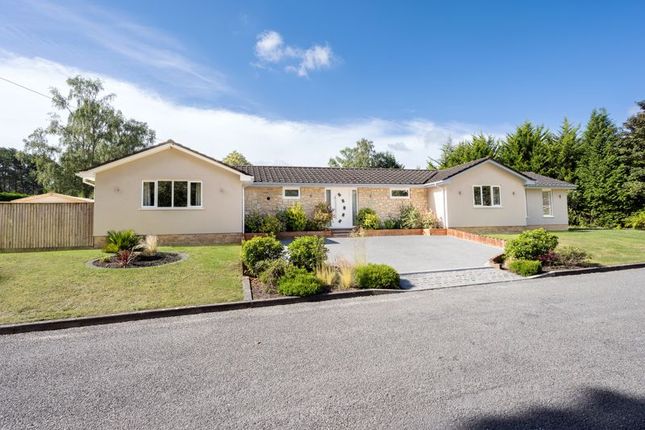 Ashley Drive North|Ashley... 4 bed bungalow for sale