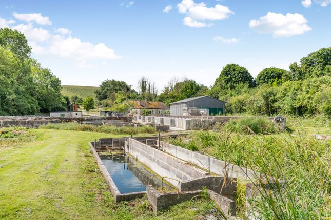 Knowle Green, Bowerchalke, Salisbury... 5 bed bungalow for sale