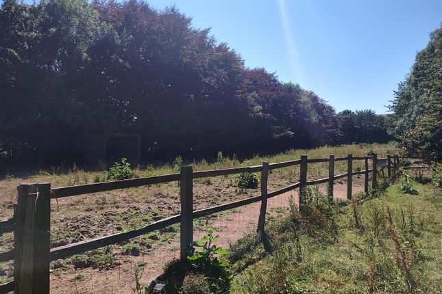 Equestrian facility for sale
