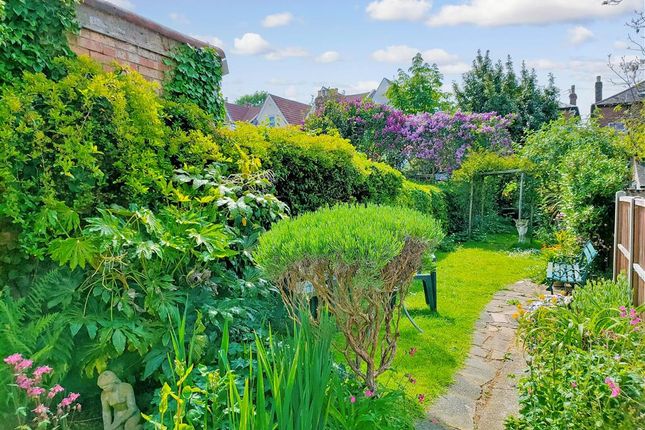 3 bed terraced house