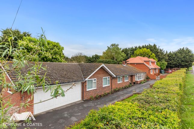 Epping Road, Nazeing, Waltham Abbey 5 bed detached bungalow for sale