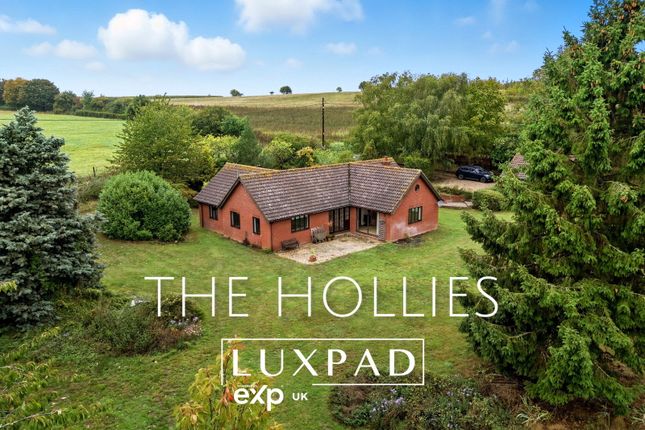 Ash Street, Ipswich IP7 3 bed detached bungalow for sale