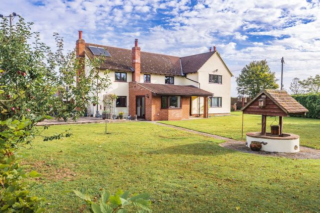 Mill Lane, Diss IP21 5 bed farm house for sale