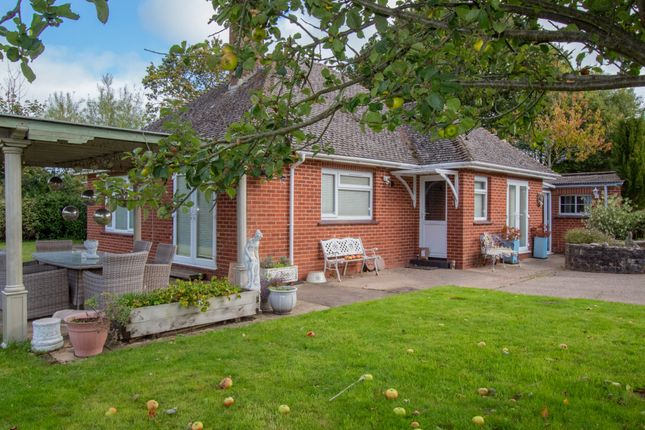 Church Lane, Alfington 3 bed detached bungalow for sale