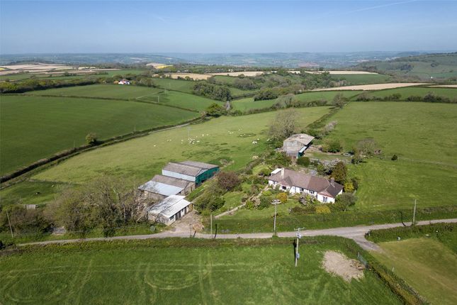 Rousdon, Lyme Regis, Devon, DT7 5 bed bungalow for sale