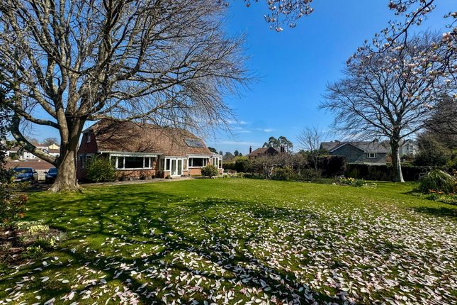 Foxwell Lane, Newton Abbot TQ12 3 bed detached bungalow for sale