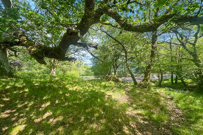 Adjacent to the upper part of Camas... Land for sale