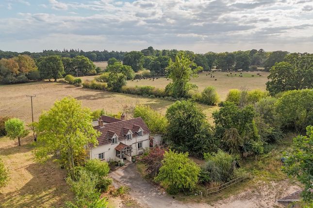 Sandford, Ringwood, BH24 4 bed detached house for sale
