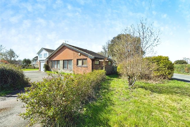 White Hill Close, Canterbury CT4 4 bed bungalow for sale