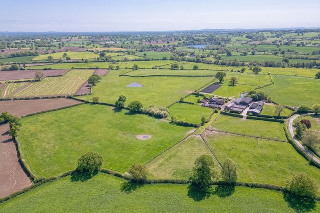 Horse Green Farm, Norbury... 5 bed equestrian property for sale