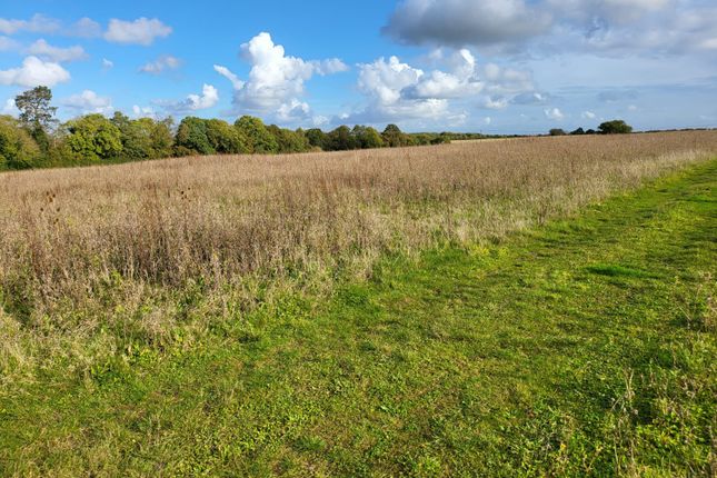 Northampton Road, Bromham MK43 Land for sale
