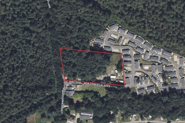 81 Matchams Lane, Christchurch Plot for sale