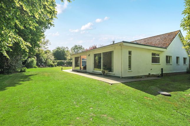 Elm Corner, Ockham, GU23 4 bed bungalow for sale