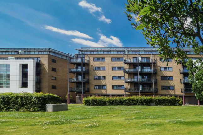 1 bed flat