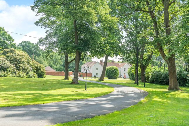 Ringwood Road, Avon, Christchurch... 11 bed detached house for sale