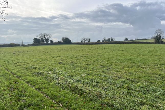 Land