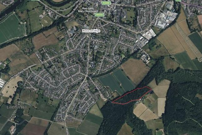 Farm land for sale