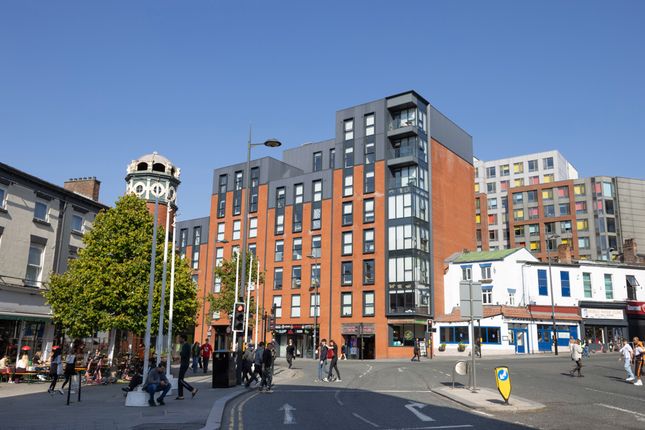 1 bed flat
