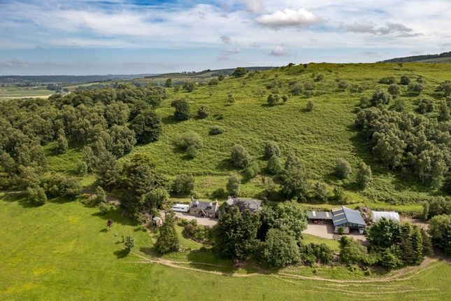 5 bedroom equestrian property for sale