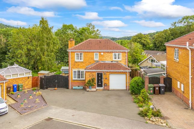 Don Avenue, Sheffield S35 3 bed detached house for sale