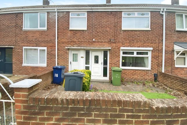 Napier Street 3 bed terraced house for sale