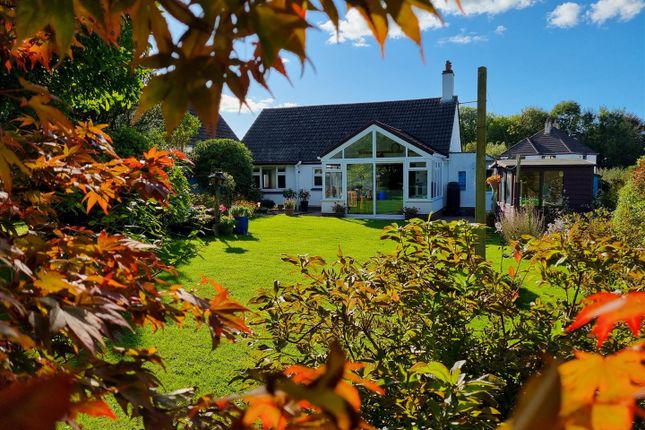 Woburn Road, Launceston 2 bed bungalow for sale