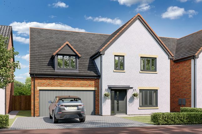 Plot 157, The Walcott at The Oaks at... 5 bed detached house for sale