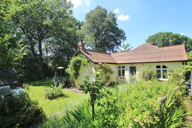 Lucas Green, Woking GU24 4 bed detached house for sale