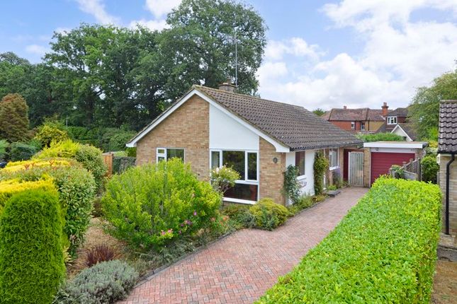 Orchard Gardens, Cranleigh 3 bed detached bungalow for sale