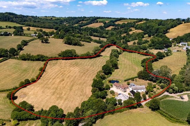 Northleigh, Colyton, Devon, EX24 5 bed equestrian property for sale
