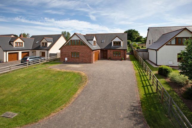 Secmaton Gardens, Secmaton Lane, EX7 4 bed detached house for sale