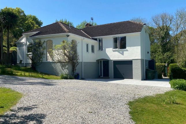 Nadderwater, Exeter 4 bed detached house for sale