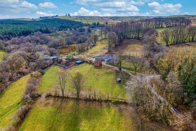 Cellan, Lampeter 6 bed property with land for sale