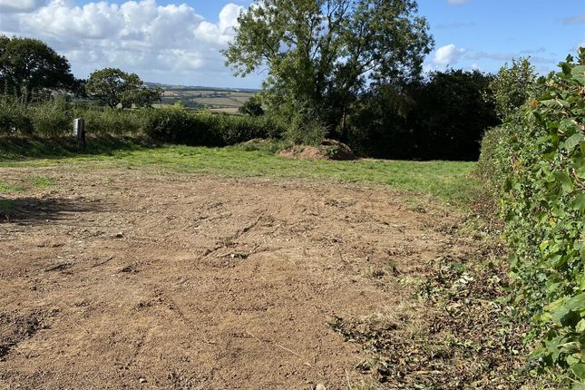 Lewdown, Okehampton 4 bed property with land for sale