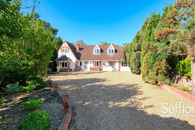 Heath Road, Thorpe End, Norwich, Norfolk Detached house for sale
