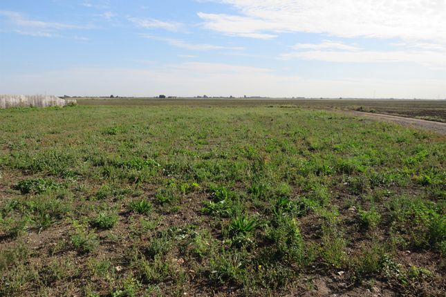 Land for sale