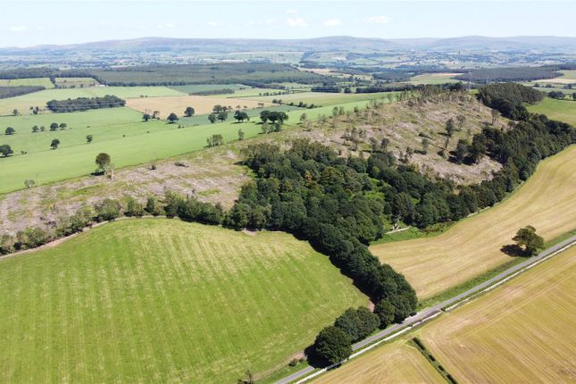 Greatbarrock Wood, Armathwaite... Land for sale