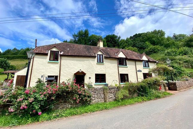 Loxbeare, Tiverton, EX16 4 bed detached house for sale