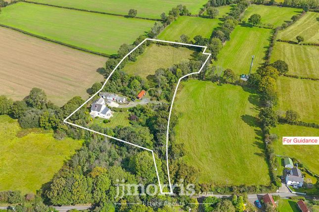 Cenarth 6 bed property with land for sale