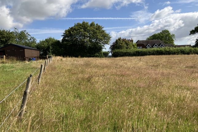 CHALBURY LANE, Horton, BH21 Land for sale