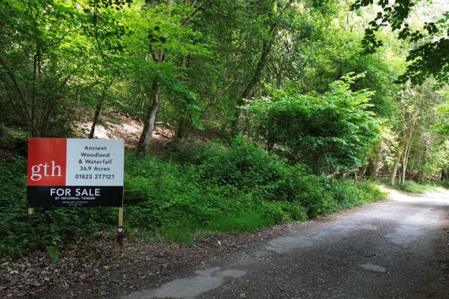 Holford, Bridgwater, Somerset, TA5 Land for sale