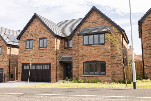 The Draper at Meadowcroft, Off Front... 5 bed detached house for sale