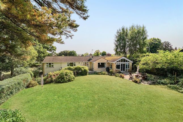 Lavington Lane, Littleton Panell... 5 bed detached bungalow for sale