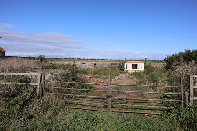 Land for sale
