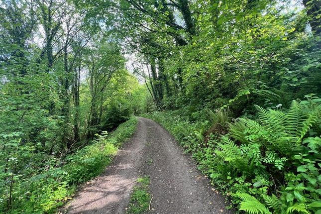Mold Road, Cefn y Bedd, Wrexham Land for sale