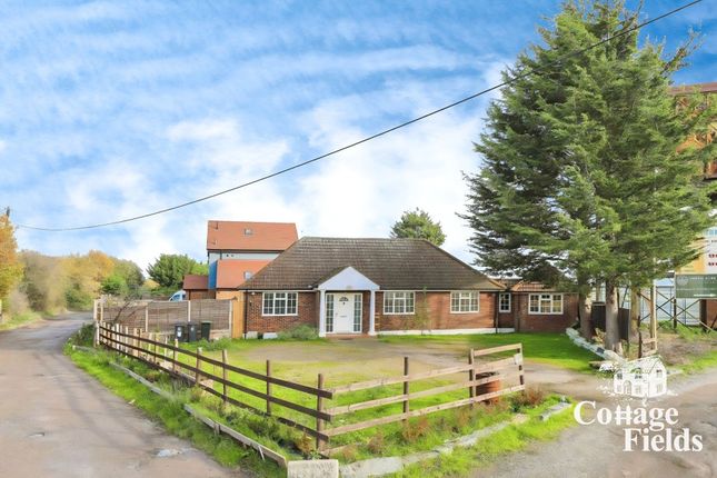 Old House Lane, Harlow CM19 4 bed detached bungalow for sale