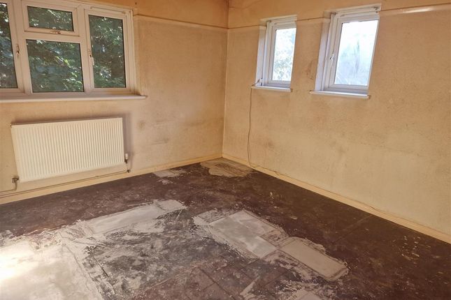 1 bed flat