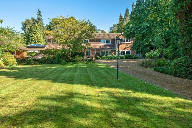 Compton Way, Farnham, GU10 5 bed detached house for sale