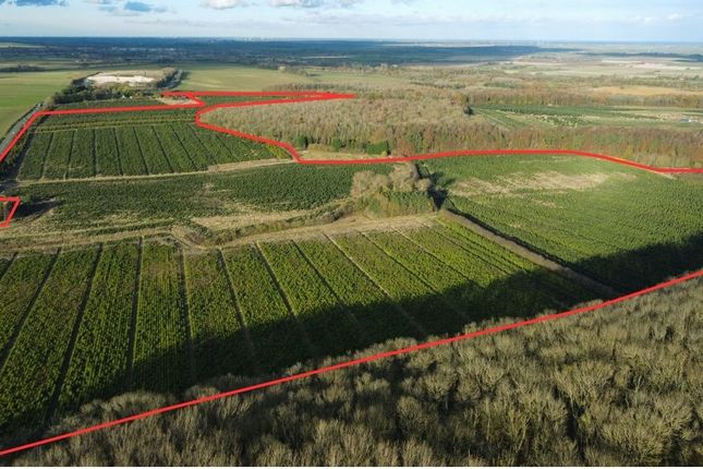 Home Farm, London Road, Tathwell, Louth Land for sale